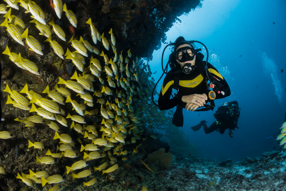 Thailand (Phuket) - image 2