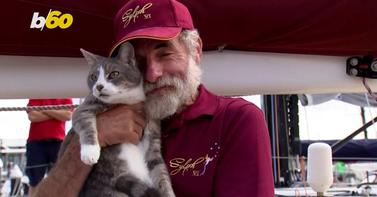 Celebrity Sailing Cat Completes Yacht Race in Australia